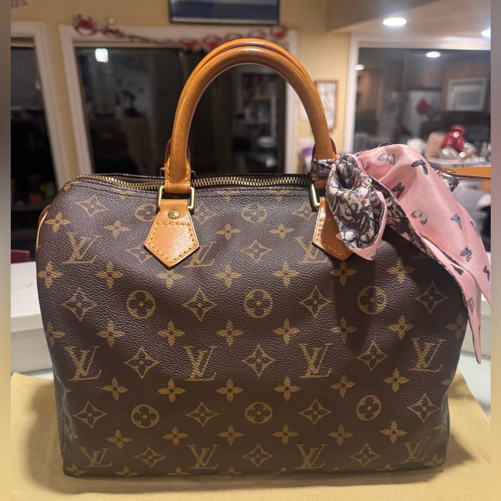 Louis Vuitton Monogram Speedy 30